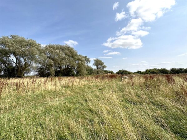 Paddock Land at Welfen Lane, Claypole, Newark