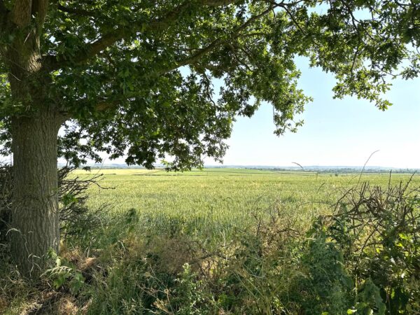Woodlake Cottage, High Meadow, Dry Doddington, Newark