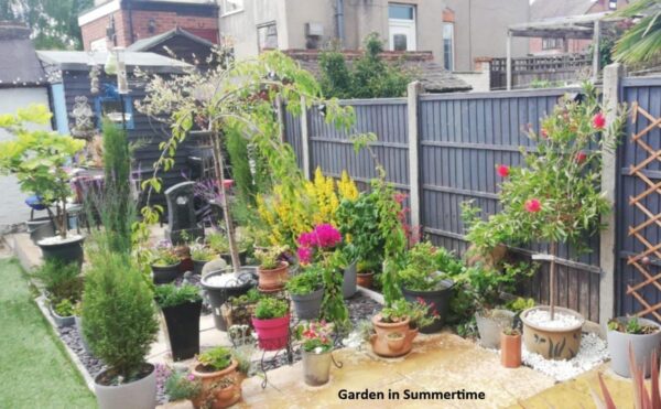 Vernon Street, Newark