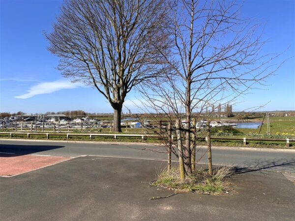 Southfield Terrace, Newark