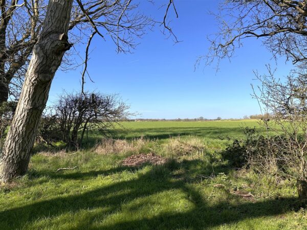 Coltons Farmhouse, Brough Lane, Brough, Newark