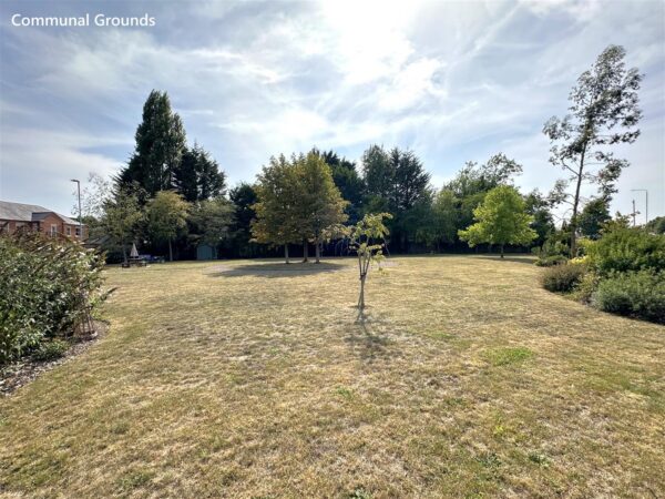 The Waterfront, Newark