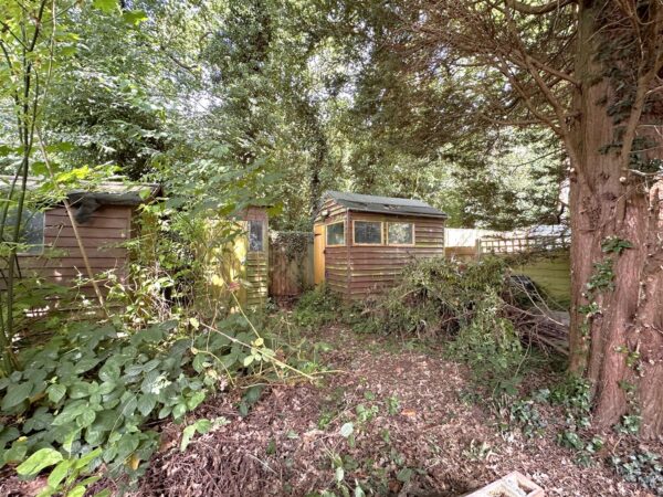 Coneygrey Spinney, Flintham, Newark